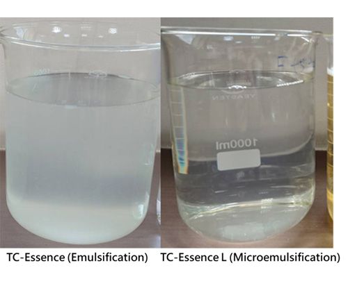 茶酚精 L-介紹 英.jpg